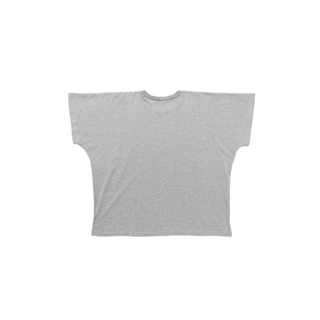 TS-01