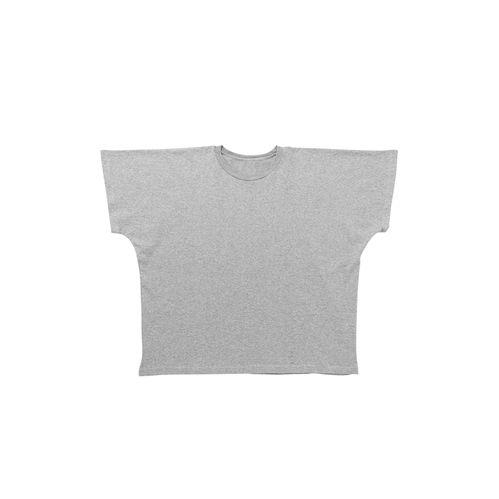 TS-01