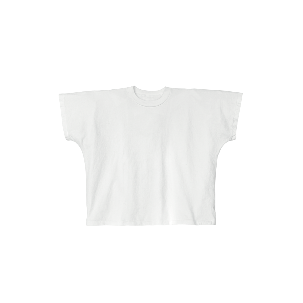 TS-01